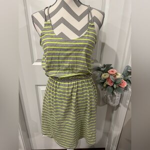 Express Striped Gray and Neon Green Women's Dress